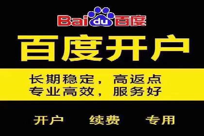深度解析：百度竞价代理的优化策略与成功案例